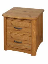 Criswell meridian 2 drawer nightstand.