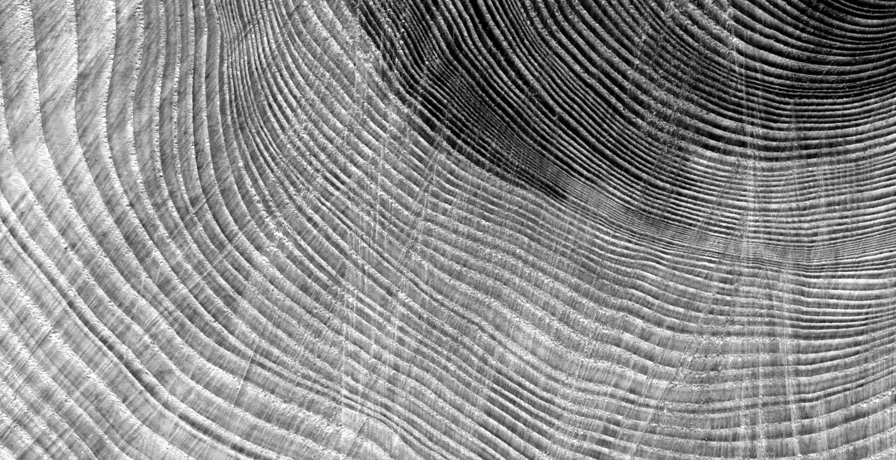 Wood Texture